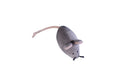 Load image into Gallery viewer, Pet Toy - Mouse Marie