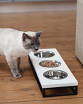 Load image into Gallery viewer, Three Bowls Lunch Bar for Cats
