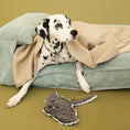 Load image into Gallery viewer, Pet Toy - Stingray