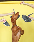 Load image into Gallery viewer, Pet Toy - Stingray