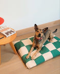 Load image into Gallery viewer, (Checkered)
