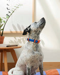 Load image into Gallery viewer, The Fritz Collar