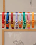 Load image into Gallery viewer, The Fritz Collar