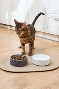 Load image into Gallery viewer, Sphere Ceramic Pet Bowl