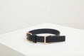 Load image into Gallery viewer, Lumi Leash and Collar Set