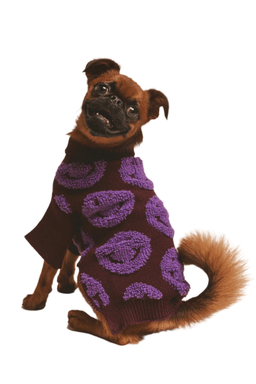 Made You Smile  flair.pet