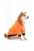 Load image into Gallery viewer, Reve Dog Hoodie In Orange - Waterproof & Reversible