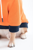 Load image into Gallery viewer, Reve Dog Hoodie In Orange - Waterproof & Reversible