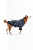 Load image into Gallery viewer, Reve Dog Hoodie In Orange - Waterproof & Reversible
