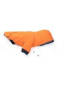 Load image into Gallery viewer, Reve Dog Hoodie In Orange - Waterproof & Reversible
