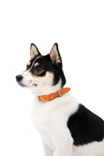 Load image into Gallery viewer, Lucca Dog Collar in Italian Leather - Iconic Orange