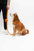 Load image into Gallery viewer, Otto - Dog Leash In Intrecciato Italian Leather - Iconic Orange