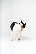 Load image into Gallery viewer, Lucca Dog Collar in Italian Leather - Iconic Orange