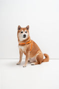 Load image into Gallery viewer, Milano Dog Harness in Italian Leather - Iconic Orange