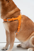 Load image into Gallery viewer, Milano Dog Harness in Italian Leather - Iconic Orange