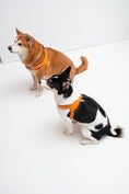 Load image into Gallery viewer, Milano Dog Harness in Italian Leather - Iconic Orange