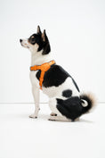 Load image into Gallery viewer, Milano Dog Harness in Italian Leather - Iconic Orange
