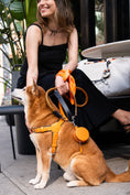 Load image into Gallery viewer, Milano Dog Harness in Italian Leather - Iconic Orange