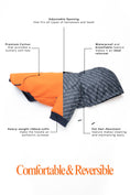Load image into Gallery viewer, Reve Dog Hoodie In Orange - Waterproof & Reversible