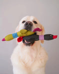 Load image into Gallery viewer, Pet Toy - Duck Jose