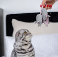 Load image into Gallery viewer, Pet Toy - Mouse Marie