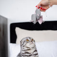 Load image into Gallery viewer, Pet Toy - Mouse Marie