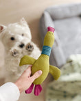 Load image into Gallery viewer, Pet Toy - Duck Jose