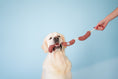 Load image into Gallery viewer, Pet Toy - Long Sausages
