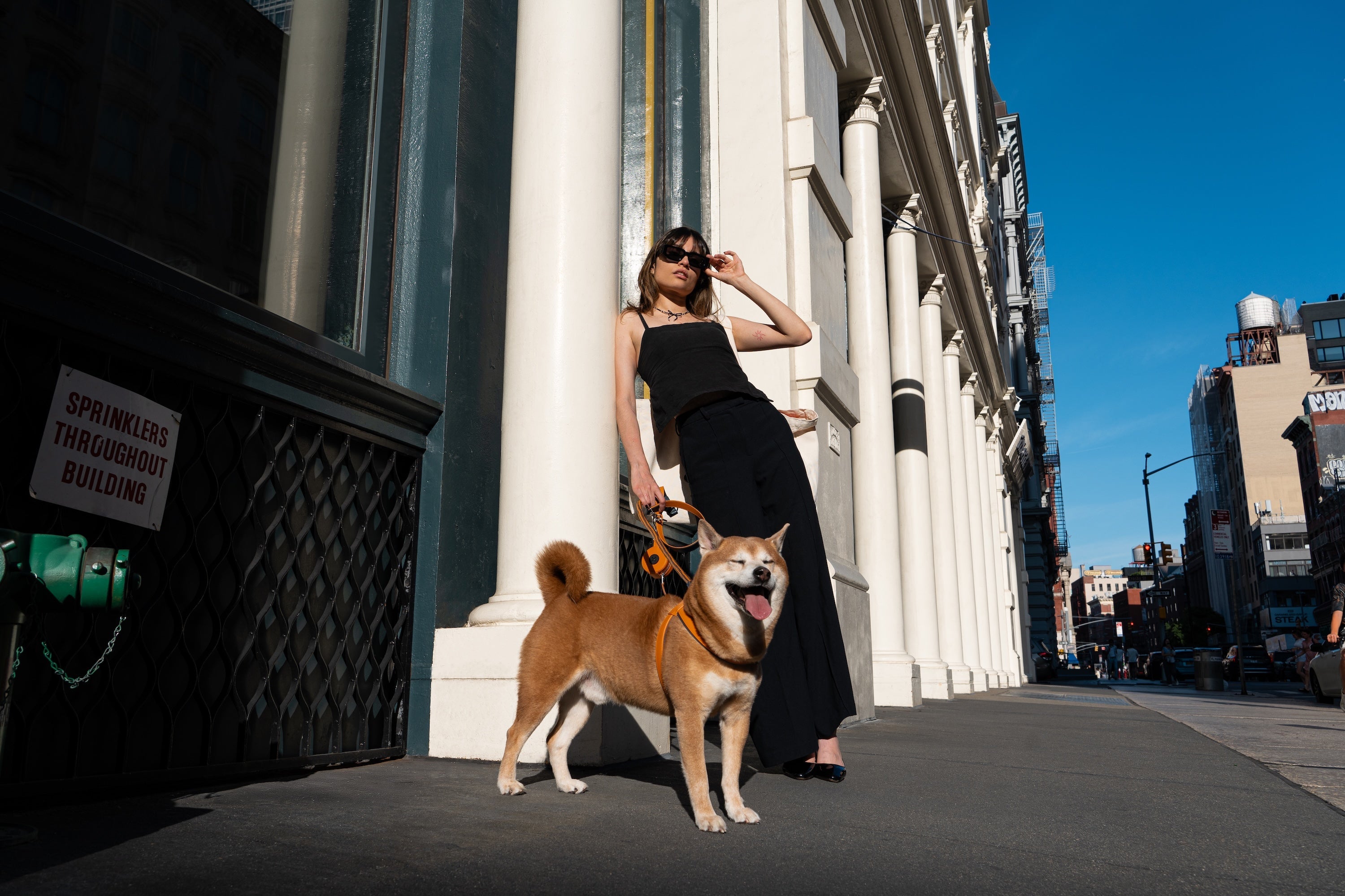 Shop SHIBA&Co – flair.pet