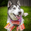 Load image into Gallery viewer, Chicken, Turkey, & Beef Snack Pack Trio
