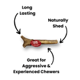Load image into Gallery viewer, Whole Reindeer Antlers for Dogs
