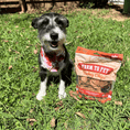 Load image into Gallery viewer, Turkey Chips for Dogs
