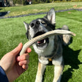 Load image into Gallery viewer, Split Reindeer Antlers for Dogs
