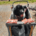Load image into Gallery viewer, Turkey Chip Snack Pack Bundles

