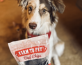 Load image into Gallery viewer, Puppy Packs 'N Snacks Dog Treat Starter
