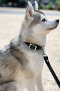 Load image into Gallery viewer, The Taylor Collar - Black Leather
