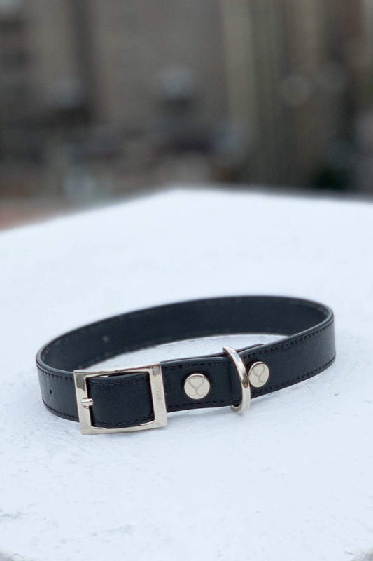The Taylor Collar - Black Leather